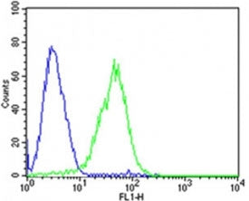Dlk1 Antibody