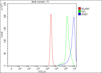Flow Cytometry analysis of cells using anti-RAB1A antibody. Overlay histogram showing cells stained 