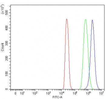PRR5 Antibody / Proline-rich protein 5 / Protor-1