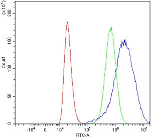 Flow cytometry testing of human 293T cells with SLC5A8 antibody at 1ug/million cells (blocked with g