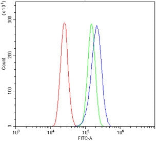 Flow cytometry testing of human U-87 MG cells with ATG7/APG7 antibody at 1ug/million cells (blocked with goat sera); Red=cells alone, Green=isotype control, Blue= ATG7/APG7 antibody.