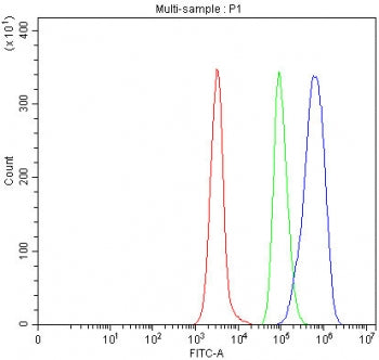 Ro60 Antibody / SS-A / TROVE2