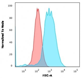 Flow cytometry testing of permeabilized human MCF7 cells with Estrogen Receptor alpha antibody (clon