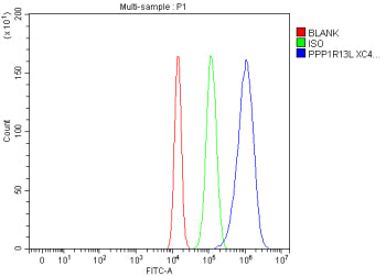 Flow Cytometry analysis of human U20S cells using anti-PPP1R13L antibody. Overlay histogram showing 