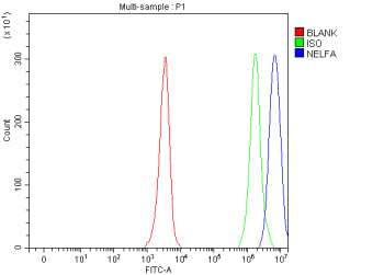 Flow Cytometry analysis of human JK cells using anti-NELFA antibody. Overlay histogram showing JK ce