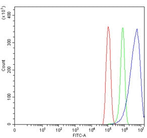 Flow cytometry testing of human PC-3 cells with CPEB4 antibody at 1ug/million cells (blocked with go