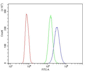 ABCB5 Antibody