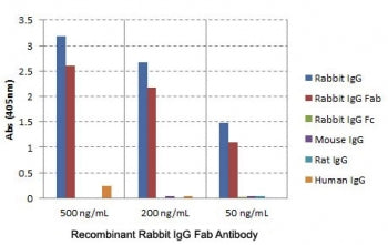 ELISA of IgGs from different species shows the recombinant Rabbit IgG Fab antibody reacts to the Fab