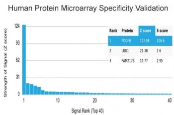 Analysis of HuProt(TM) microarray containing more than 19,000 full-length human proteins using PDGFB