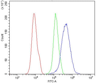 Flow cytometry testing of human 293T cells with PDX1 antibody at 1ug/million cells (blocked with goa