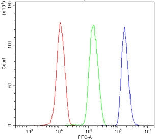 Flow cytometry testing of human HL-60 cells with Ribonuclease 3 antibody at 1ug/million cells (block