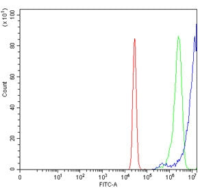 NRBF2 Antibody / Nuclear receptor-binding factor 2