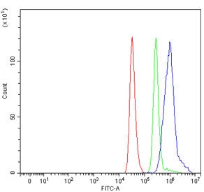 Tip60 Antibody / 60 kDa Tat-interactive protein / KAT5