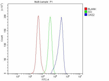 Flow Cytometry analysis of mouse RAW264.7 cells using anti-Oas2 antibody. Overlay histogram showing 