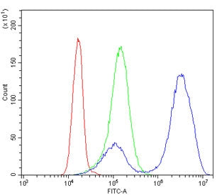 Flow cytometry testing of human K562 cells with GATA1 antibody at 1ug/million cells (blocked with go