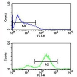 EIF4E antibody flow cytometric analysis of HL-60 cells (bottom histogram) compared to a negative con