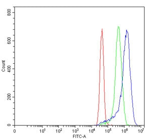 Flow cytometry testing of human MCF7 cells with TYK2 antibody at 1ug/million cells (blocked with goa