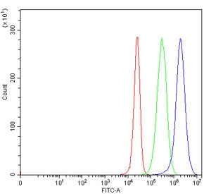 PDIA2 Antibody / Protein disulfide-isomerase A2 / PDIp