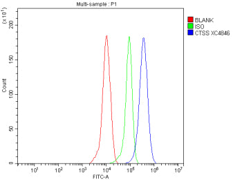 Flow Cytometry analysis of human THP-1 cells using anti-CTSS antibody. Overlay histogram showing THP