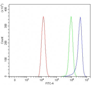 RAB44 Antibody / Ras-related protein Rab-44