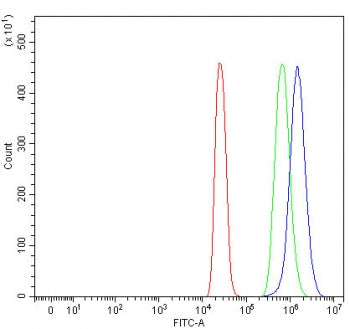 TTC39A Antibody / Tetratricopeptide repeat protein 39A