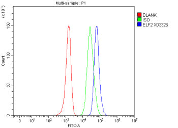 ELF2 Antibody / E74-like ETS transcription factor 2, 100ug