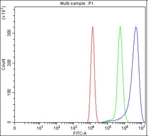 Flow cytometry testing of fixed human HEL cells with MYO1G antibody at 1ug/million cells (blocked wi
