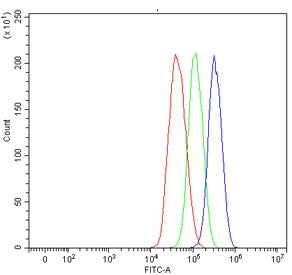 Flow cytometry testing of human HepG2 cells with Aldehyde Dehydrogenase 1A1 antibody at 1ug/million 