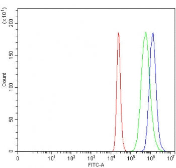 Flow cytometry testing of fixed and permeabilized human ThP-1 cells with MIP-3 beta antibody at 1ug/
