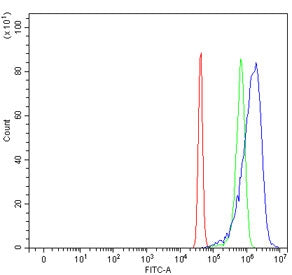 Fibroblast activation protein alpha Antibody / FAP