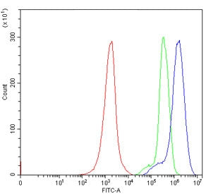 Flow cytometry testing of human Jurkat cells with IRE2 antibody at 1ug/million cells (blocked with g