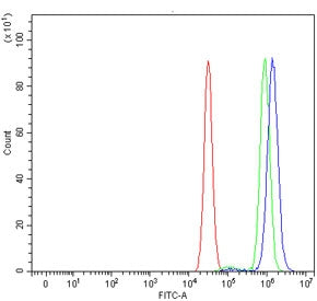 Flow cytometry testing of human MCF7 cells with RPS6KB1 antibody at 1ug/million cells (blocked with 
