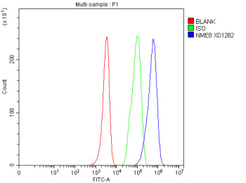 Flow Cytometry analysis of HEL cells using anti-NME8 antibody. Overlay histogram showing HEL cells s