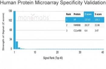 Analysis of HuProt(TM) microarray containing more than 19,000 full-length human proteins using Hapto