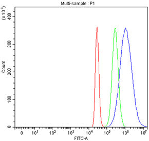 Flow cytometry testing of fixed and permeabilized human HepG2 cells with UBE2Q2 antibody at 1ug/mill