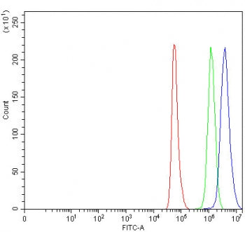 Flow cytometry testing of fixed and permeabilized human HeLa cells with MUTYH antibody at 1ug/millio
