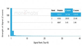 Analysis of a HuProt(TM) microarray containing more than 19,000 full-length human proteins using FGF