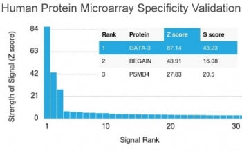 Analysis of HuProt(TM) microarray containing more than 19,000 full-length human proteins using GATA3