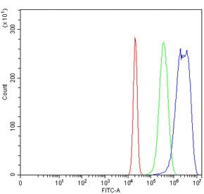 Flow cytometry testing of human U-2 OS cells with FRK antibody at 1ug/million cells (blocked with go