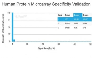 Analysis of HuProt(TM) microarray containing more than 19,000 full-length human proteins using Lacto