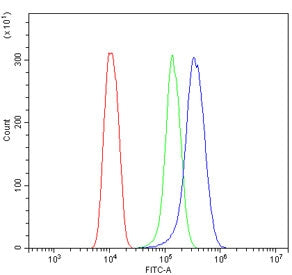 Flow cytometry testing of mouse HEPA1-6 cells with Insig1 antibody at 1ug/million cells (blocked wit