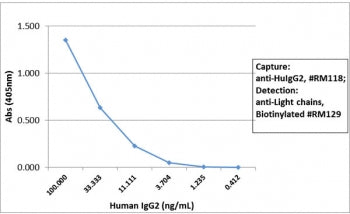 Sandwich ELISA with human IgG2 using recombinant Human IgG2 antibody as the capture, and <a href=../