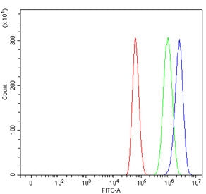 Flow cytometry testing of human U-87 MG cells with FRP-1 antibody at 1ug/million cells (blocked with