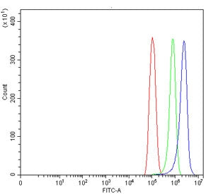 Flow cytometry testing of human PC-3 cells with GJB2 antibody at 1ug/million cells (blocked with goa