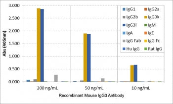 ELISA of mouse immunoglobulins shows the recombinant Mouse IgG3 antibody reacts to both mouse IgG3Îº