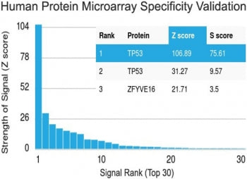 Protein array validation of the recombinant p53 antibody: Analysis of HuProt(TM) microarray containi