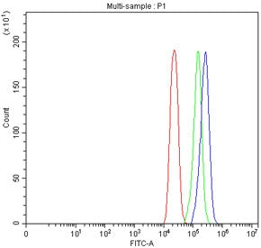 Flow cytometry testing of fixed human U-251 cells with SLITRK1 antibody at 1ug/million cells (blocke