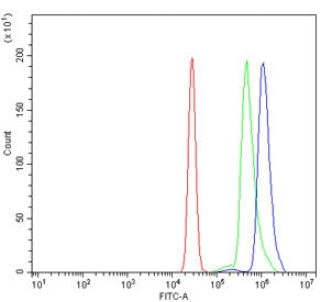 Dynamin 2 Antibody / DNM2