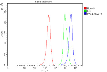 Flow Cytometry analysis of MCF-7 cells using anti-PARL antibody. Overlay histogram showing MCF-7 cel