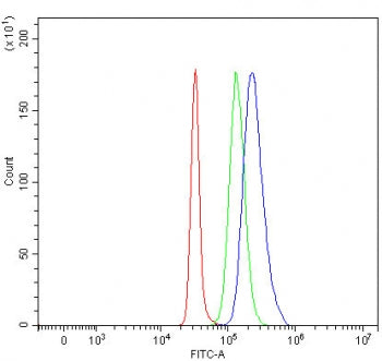Flow cytometry testing of fixed and permeabilized human SH-SY5Y cells with PRMT6 antibody at 1ug/mil